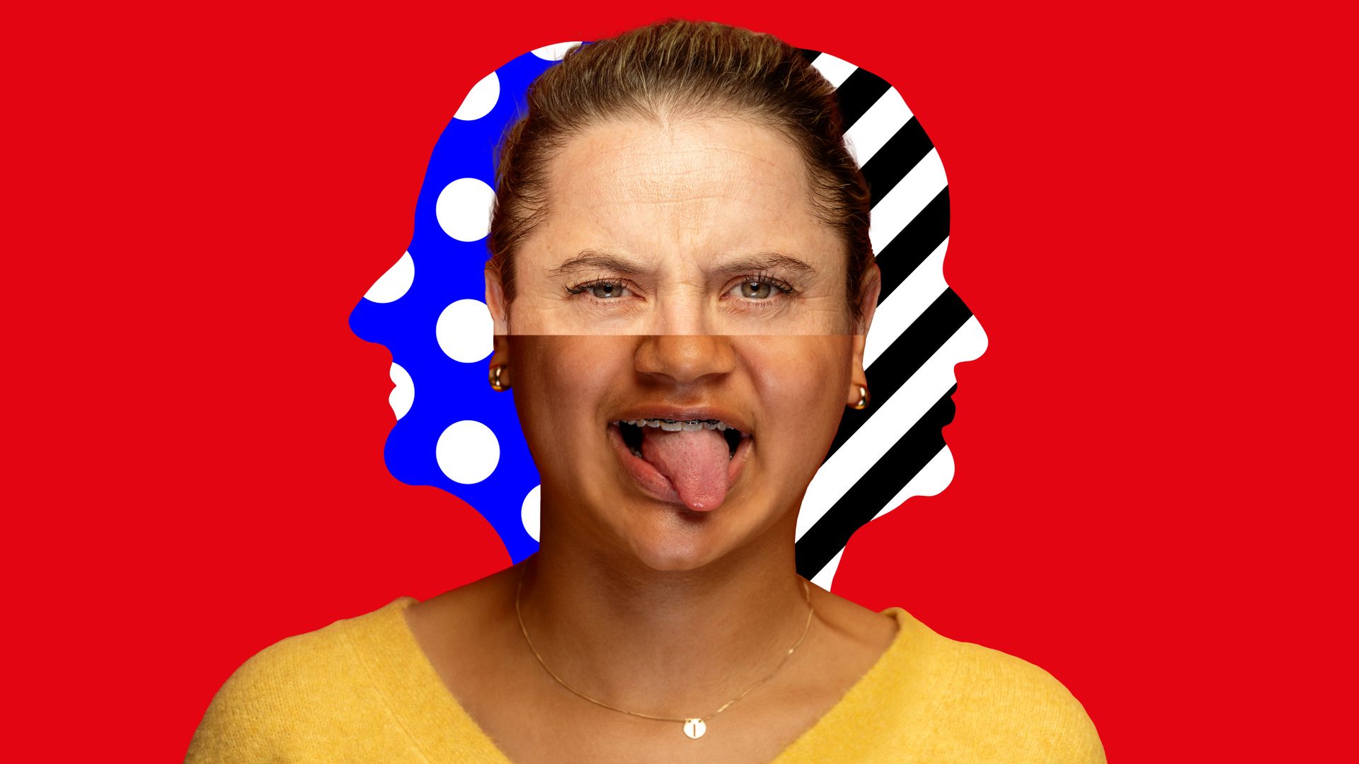 Zoek de verschillen - BonteHond