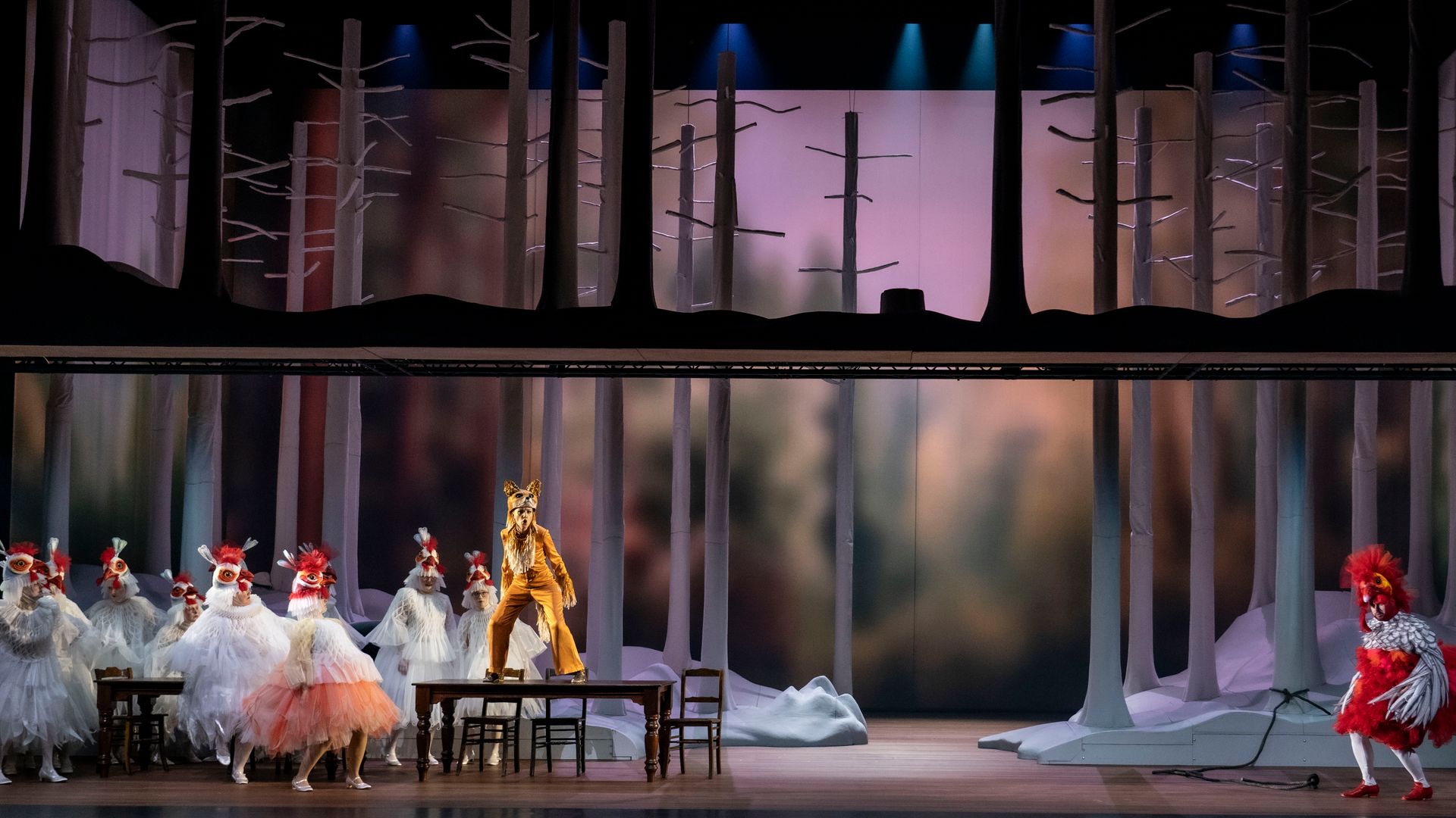 Het Sluwe Vosje - Nederlandse Reisopera