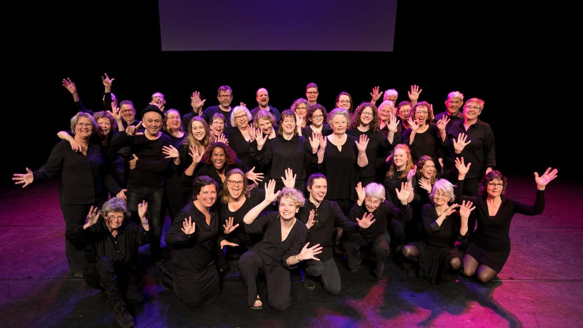 Concert - Nederlands Gebaren Koor