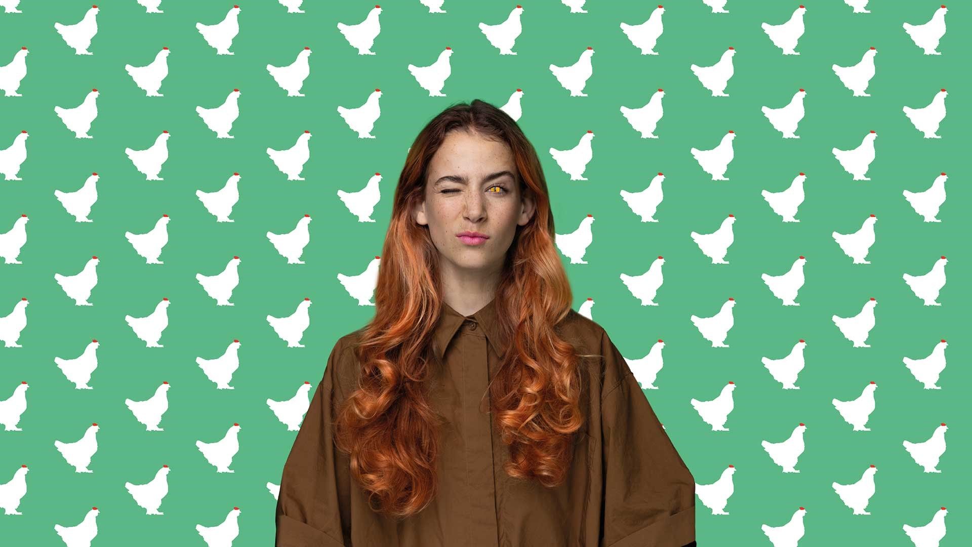 Het Sluwe Vosje - Nederlandse Reisopera
