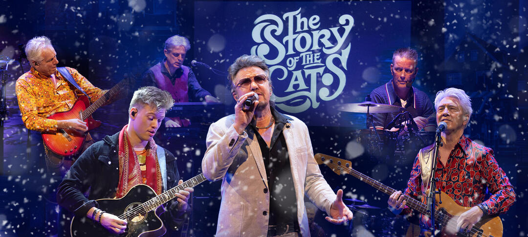 The Story of the Cats