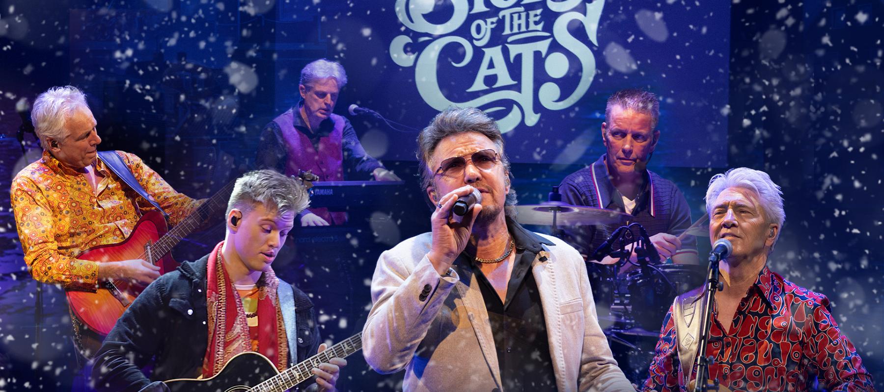 The Story of the Cats