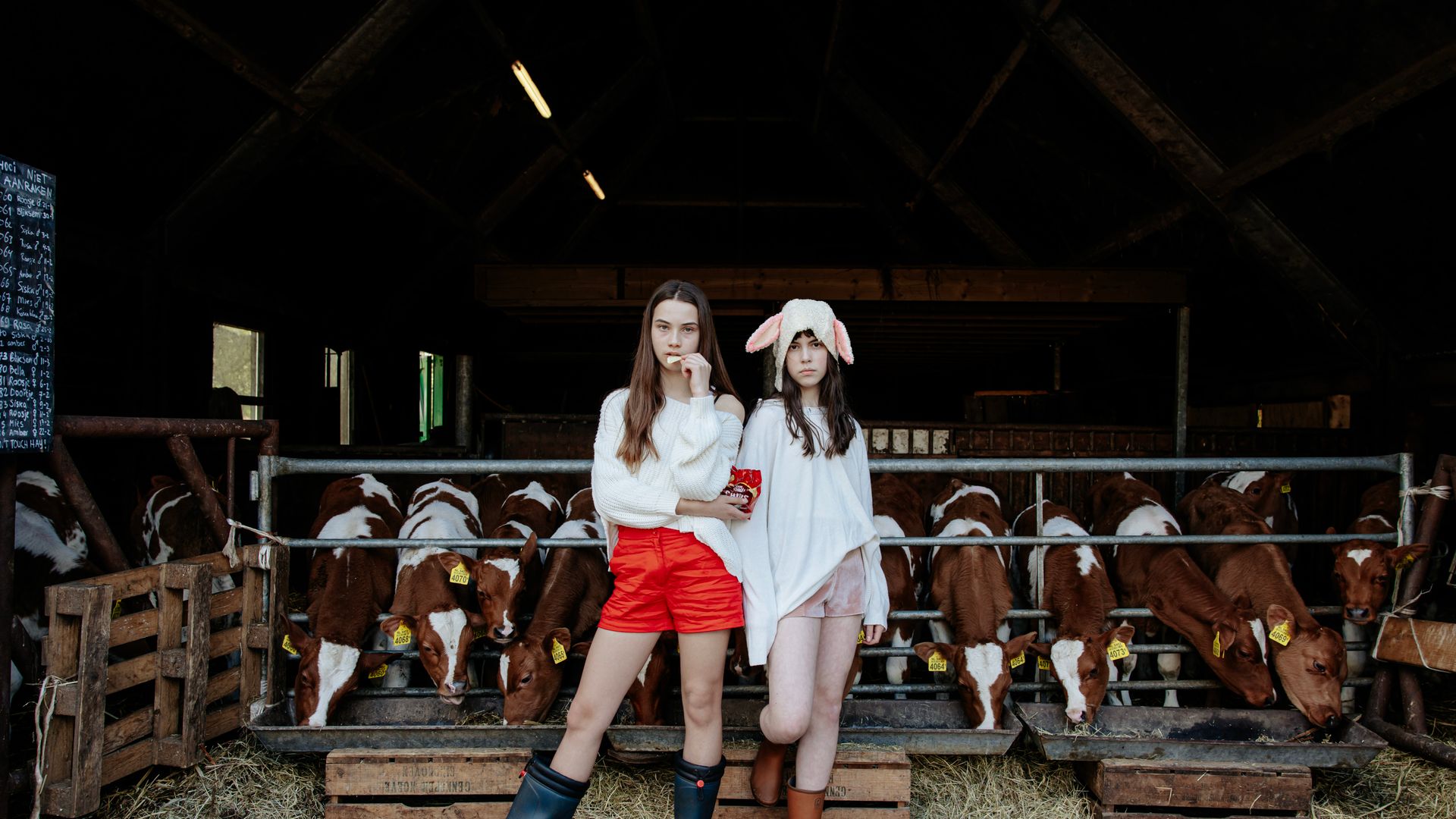 Animal Farm - Wildpark